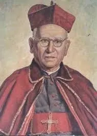 Retrato oficial de Dom Carlos Duarte Costa
